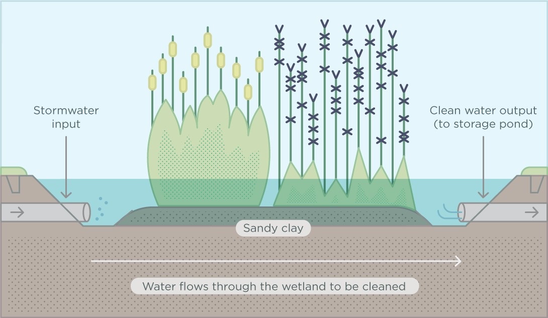 Utilização de Leitos de Macrófitas no tratamento de águas residuais