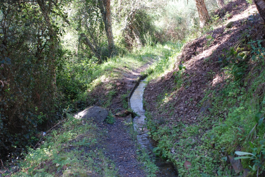 Beneficiação do Regadio de Raivo - Águeda